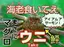ひとみのプロフィール画像