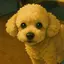 Soshiのプロフィール画像