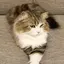 サツキのプロフィール画像
