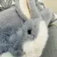 愛梨のプロフィール画像