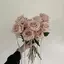 みーのプロフィール画像