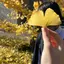 さんごのプロフィール画像