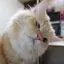 さのプロフィール画像