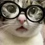ちょろびのプロフィール画像