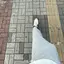 けーたのプロフィール画像