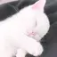 みのプロフィール画像
