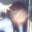 真奈のプロフィール画像