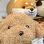 てひのプロフィール画像