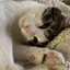 nyaoのプロフィール画像