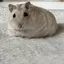 ◡̈のプロフィール画像