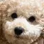 くーのプロフィール画像