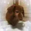 noa*noaのプロフィール画像