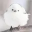 たまごのプロフィール画像