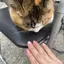 くるたんのプロフィール画像