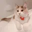 もものプロフィール画像