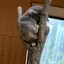 みやのプロフィール画像