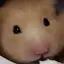 ユナのプロフィール画像