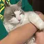 もものプロフィール画像