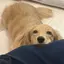Rのプロフィール画像