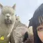 なおのプロフィール画像