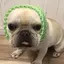 Ai☺︎のプロフィール画像