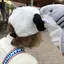 AYANEのプロフィール画像