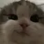 はるのプロフィール画像