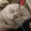 七海のプロフィール画像