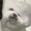 🍙のプロフィール画像