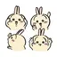 チョコのプロフィール画像