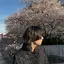 秀のプロフィール画像