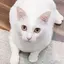 ひなのプロフィール画像