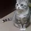 あやのプロフィール画像