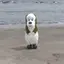 ゆのプロフィール画像