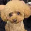 まおのプロフィール画像