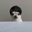 まるのプロフィール画像