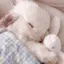 🎀のプロフィール画像