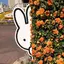 ꒰ᐢ⸝⸝• · •⸝⸝ᐢ꒱のプロフィール画像