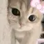 Ⓜ️のプロフィール画像