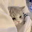 うららのプロフィール画像