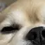asのプロフィール画像