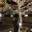 ななのプロフィール画像