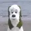 ゆーせーのプロフィール画像