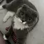 優のプロフィール画像