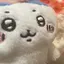 ハルのプロフィール画像