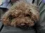 みーひろちゃんのプロフィール画像