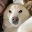 mのプロフィール画像