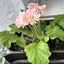 URのプロフィール画像