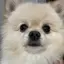 あいうえおのプロフィール画像