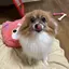 まっちゅのプロフィール画像